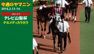 今週のヤマニン･テルメディカラカラ