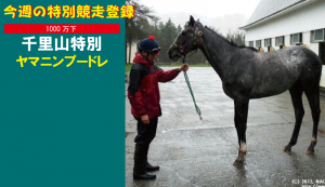 今週の特別競走登録・ヤマニンプードレ