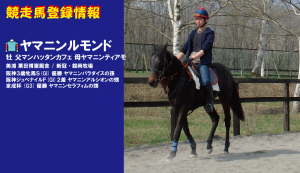 競走馬登録・ヤマニンルモンド