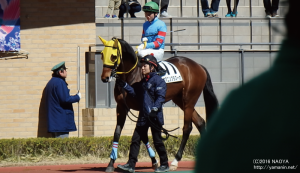 ３歳未勝利・ヤマニンブラズーカ