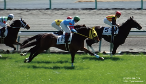 ３歳未勝利・ヤマニンブラズーカ