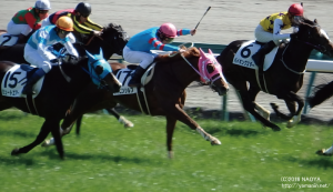 ３歳未勝利・ヤマニンシルフ