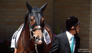 ４歳上500万下・ヤマニンバステト