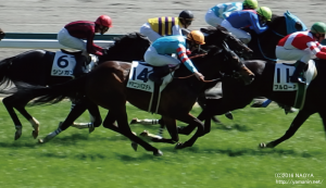 ４歳上500万下・ヤマニンバステト