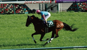 中日新聞杯 馬場入場・ヤマニンボワラクテ