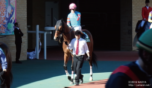 中日新聞杯 パドック・ヤマニンボワラクテ