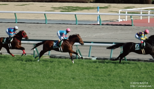 中日新聞杯 1周目・ヤマニンボワラクテ