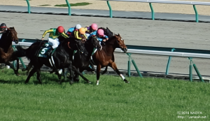 中日新聞杯 ゴール前・ヤマニンボワラクテ