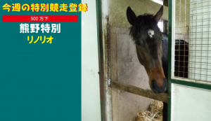 今週の特別競走登録･リノリオ