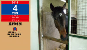 2016年4勝目・リノリオ