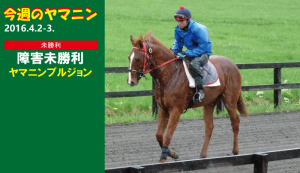 今週のヤマニン・ヤマニンブルジョン