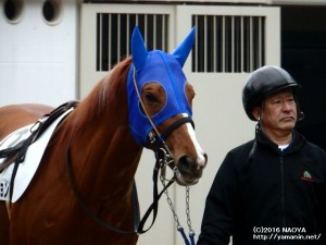 パドックのヤマニンブルジョン