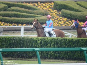 障害を確認するヤマニンブルジョンと中村騎手