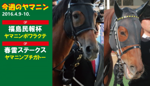 今週のヤマニン・ヤマニンボワラクテとヤマニンプチガトー