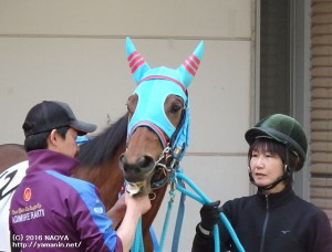 福島のヤマニンアタシャン