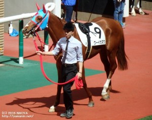 福島のクーイカヌウ