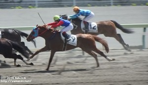 福島のクーイカヌウ