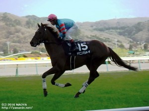 福島メインに本馬場は入場するヤマニンマルキーザ