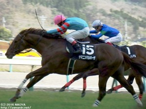 福島メインのレース・ヤマニンマルキーザ