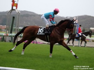 福島民報杯・ヤマニンボワラクテの本馬場入場