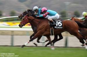 福島民報杯・ヤマニンボワラクテ 最後の直線