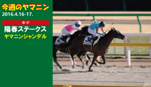 今週のヤマニン・ヤマニンシャンデル