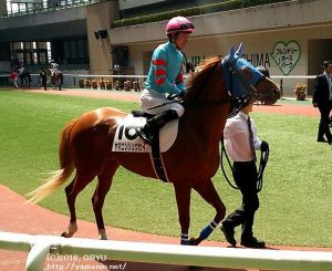 初勝利のパドック・ヤマニンリュウセイと丸山騎手