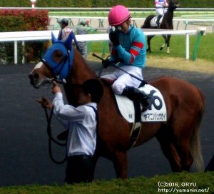 ヤマニンリュウセイ・初勝利の凱旋