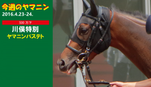 今週のヤマニン･ヤマニンバステト