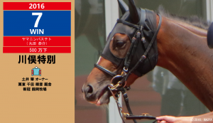 2016年7勝目・ヤマニンバステト