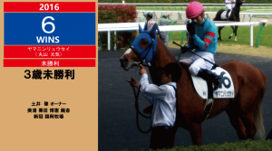 2016年6勝目・ヤマニンリュウセイ