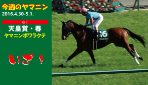 今週のヤマニン・ヤマニンボワラクテ