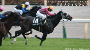 晩春ステークス優勝・テルメディカラカラ