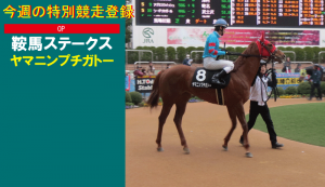 今週の特別競走登録・ヤマニンプチガトー