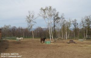 ホーストラスト北海道
