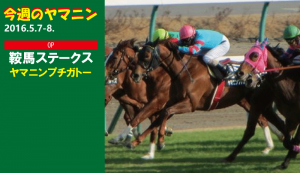 今週のヤマニン･ヤマニンプチガトー