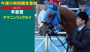 今週の特別競走登録・ヤマニンリュウセイ