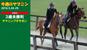 今週のヤマニン･ヤマニンプチサボン