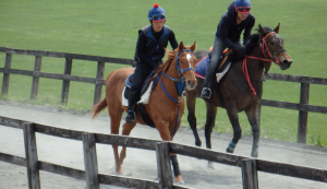 育成時代のヤマニンプチサボン