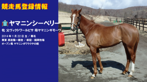 競走馬登録・ヤマニンシーベリー