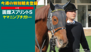 特別競走登録・ヤマニンプチガトー