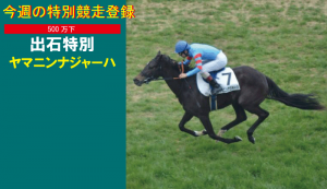 今週の特別競走登録・ヤマニンナジャーハ