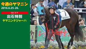 今週のヤマニン・ヤマニンナジャーハ