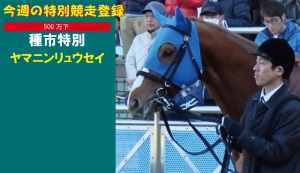 今週の特別競走登録･ヤマニンリュウセイ
