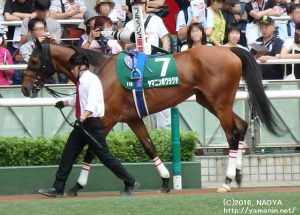 七夕賞・ヤマニンボワラクテ