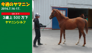 今週のヤマニン・ヤマニンシルフ