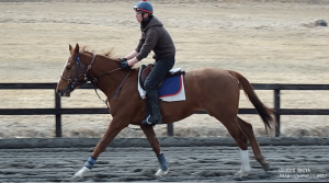 育成時代のヤマニンバンタジオと山本さん