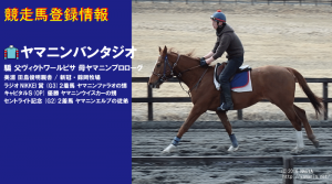 競走馬登録・ヤマニンバンタジオ