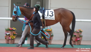 福島のヤマニンアタシャン