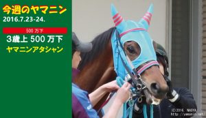 ヤマニンアタシャン